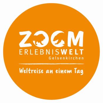 Strong, colorful, round glass magnets, motif Zoom logo