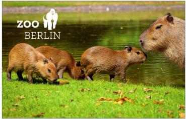 Glas Magnet- Capybarafamilie mit Logo Zoo Berlin