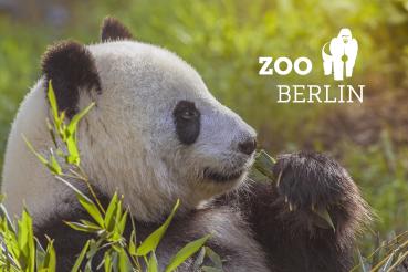 Glas Magnet- Panda groß, Zoo Berlin mit Logo