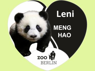 Kristallmagnet Herzform, Motiv Panda Leni Logo Zoo Berlin