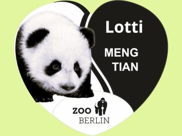 Kristallmagnet Herzform, Motiv Panda Lotti Logo Zoo Berlin
