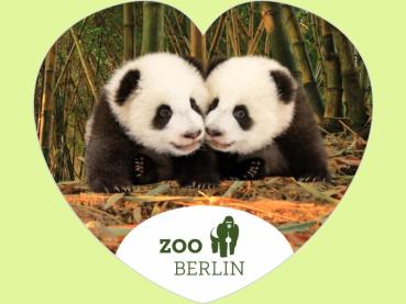 Kristallmagnet Herzform, Motiv Pandatwins Logo Zoo Berlin