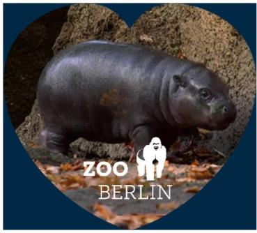 Crystal magnet, heart-shaped motif Hippopotamus Toni, ZooBerlin Logo