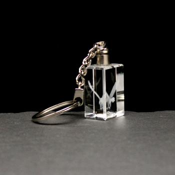 LED-Cube-Adler