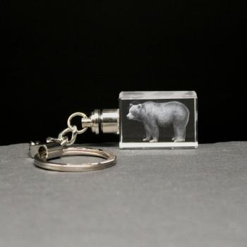 LED-Cube-Braunbär