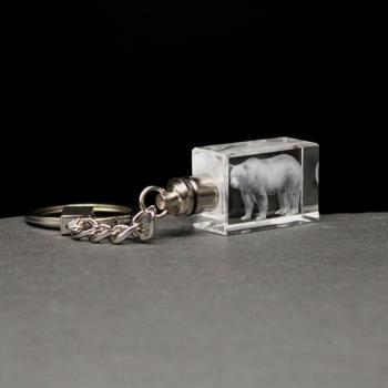 LED-Cube-Braunbär