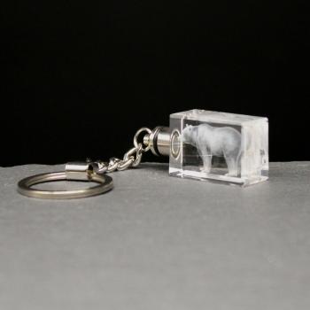 LED-Cube-Braunbär
