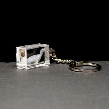 LED-Cube-Robbe