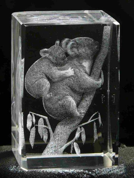 3D-Glas-Cube-Koala-Bär, versch. Größen