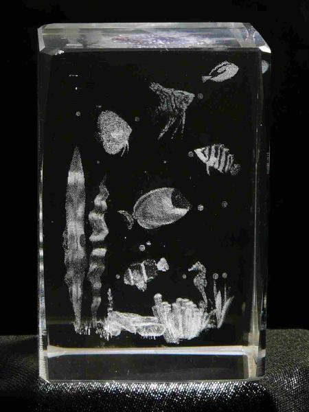 3D-Glas-Cube-Unterwasserwelt, versch. Größen