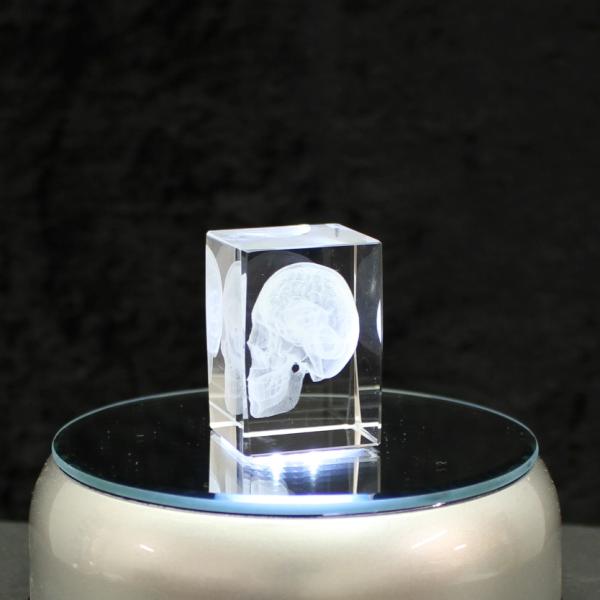 Crystal Glass Figure - Skull - 3D Laser Glass Sculpture | Small, Medium, Large | Decoration & Gift Idea