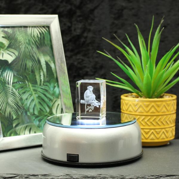 3D-Glas-Cube-Affe, versch. Größen