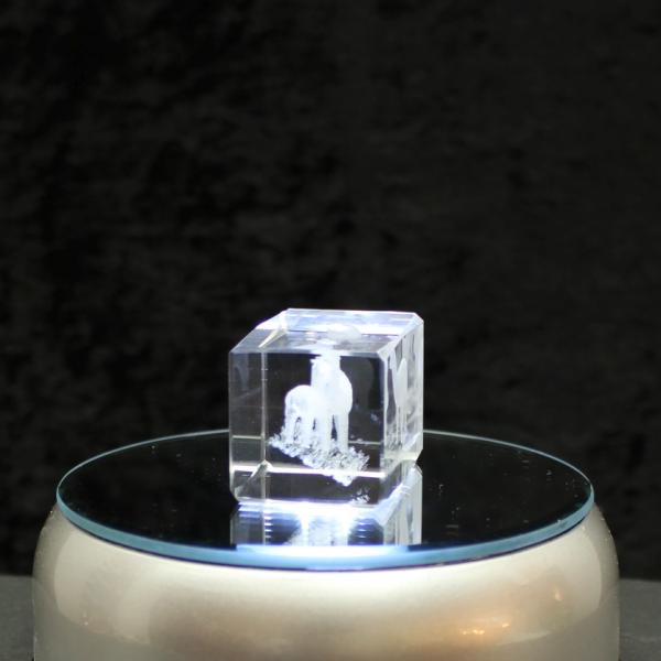3D-Glas-Cube-2 Alpakas, versch. Größen