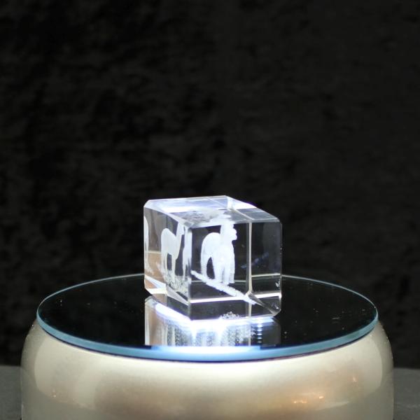 3D-Glas-Cube-2 Alpakas, versch. Größen