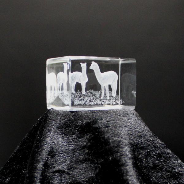 3D-Glas-Cube-2 Alpakas, versch. Größen