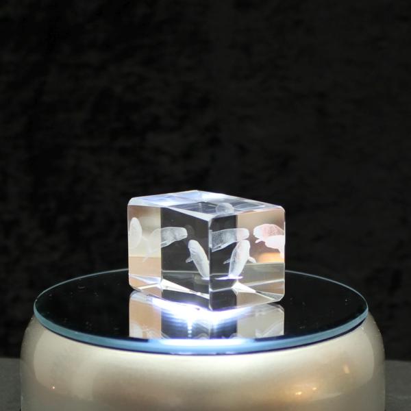 3D-Glas-Cube-Beluga, versch. Größen