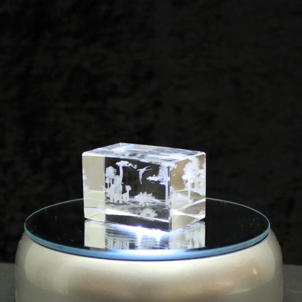 3D-Glas-Cube-mehrere Saurier, versch. Größen
