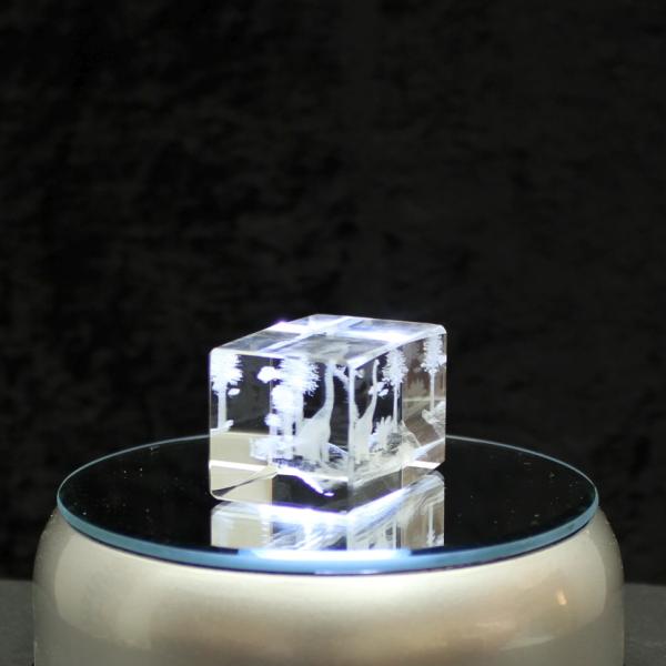 3D-Glas-Cube-mehrere Saurier, versch. Größen