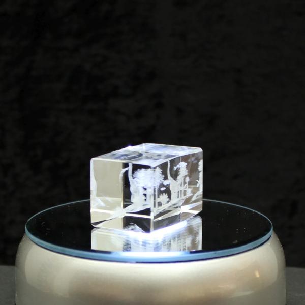 3D-Glas-Cube-mehrere Saurier, versch. Größen