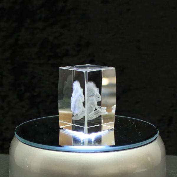 3D-Glas-Cube-Eichhörnchen, versch. Größen