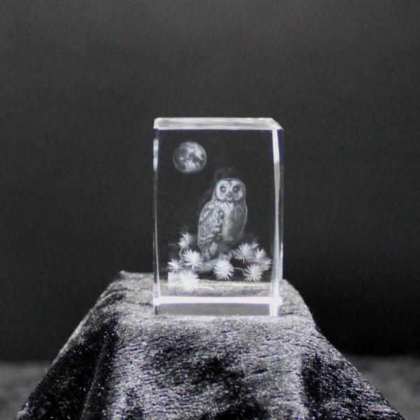 Barn Owl