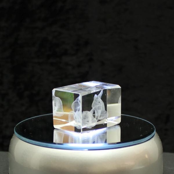3D-Glas-Cube-Fennek, versch. Größen