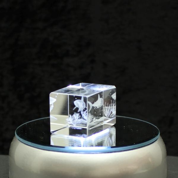 Crystal cuboid block, motif Shark