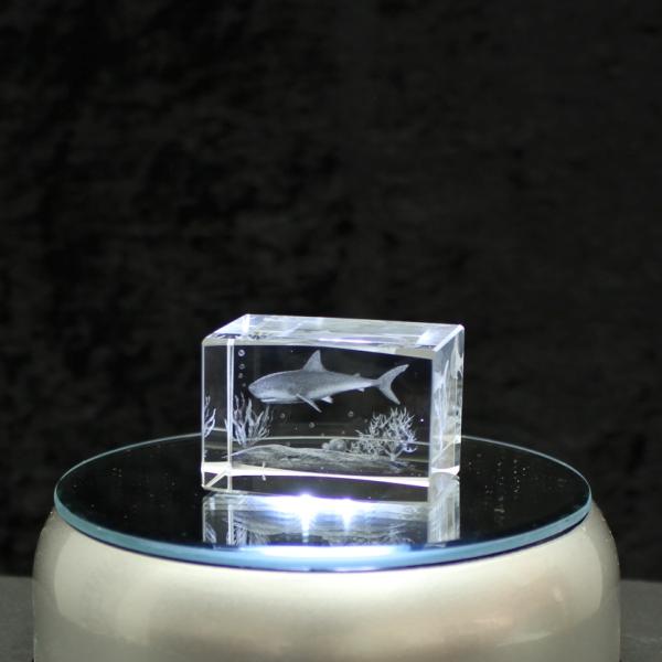 Crystal cuboid block, motif Shark