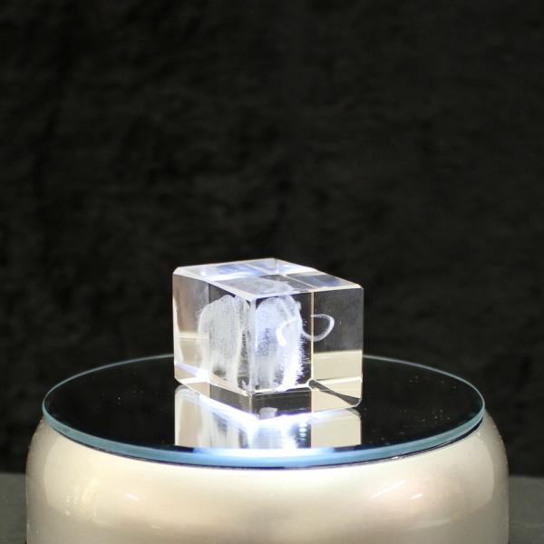 3D-Glas-Cube-Mammut, versch. Größen