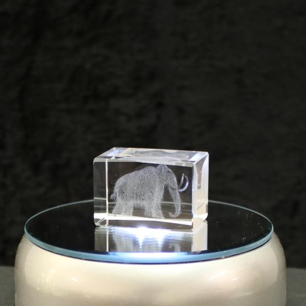 3D-Glas-Cube-Mammut, versch. Größen