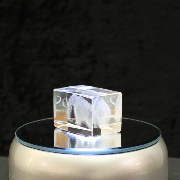 3D-Glas-Cube-Mammut, versch. Größen