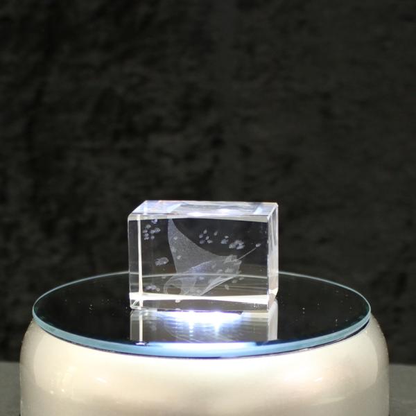 3D-Glas-Cube-Manta Rochen, versch. Größen