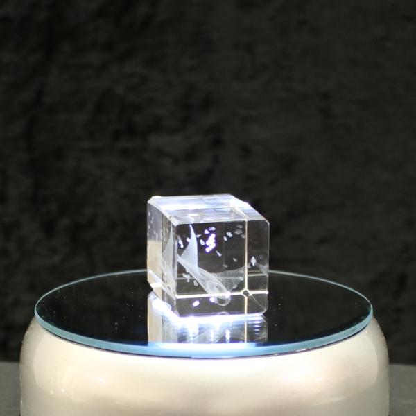 3D-Glas-Cube-Manta Rochen, versch. Größen