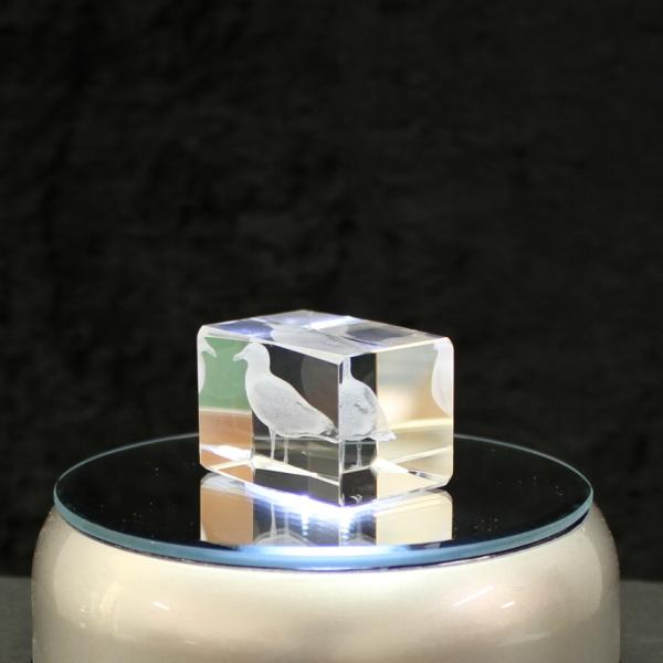 Crystal cuboid block, motif Gull