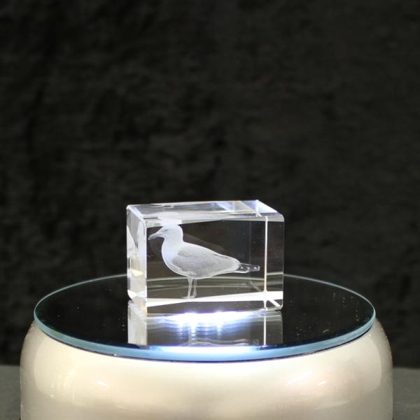 Crystal cuboid block, motif Gull