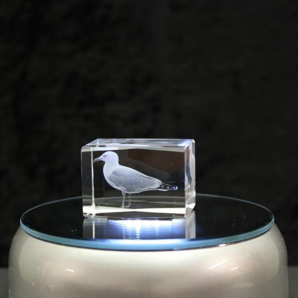 Crystal cuboid block, motif Gull