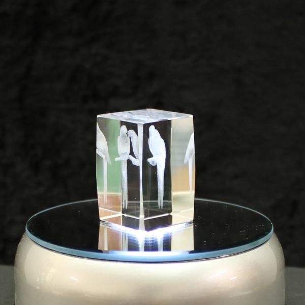 3D-Glas-Cube-Papagei, versch. Größen