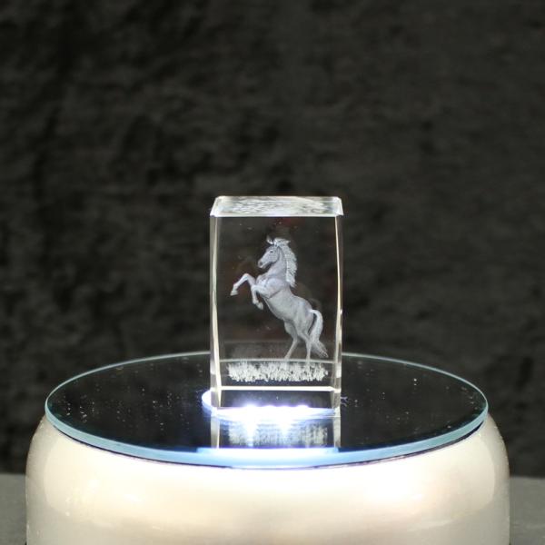 3D-Glas-Cube-aufst. Pferd, versch. Größen