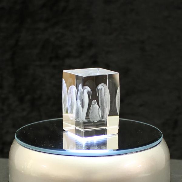3D-Glas-Cube-Pinguine, versch. Größen