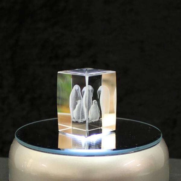 3D-Glas-Cube-Pinguine, versch. Größen