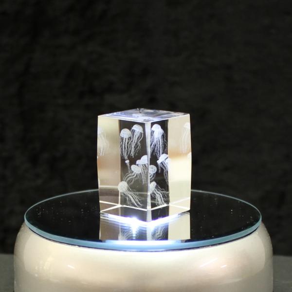 3D-Glas-Cube-Qualle, versch. Größen