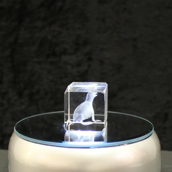 3D-Glas-Cube-Seehund, versch. Größen