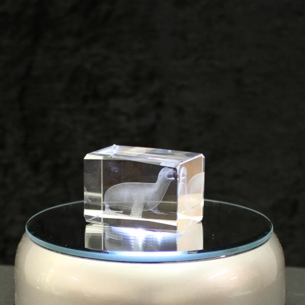 3D-Glas-Cube-Seehund, versch. Größen