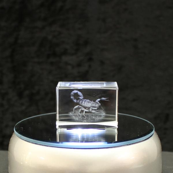 3D-Glas-Cube-Scorpion, versch. Größen