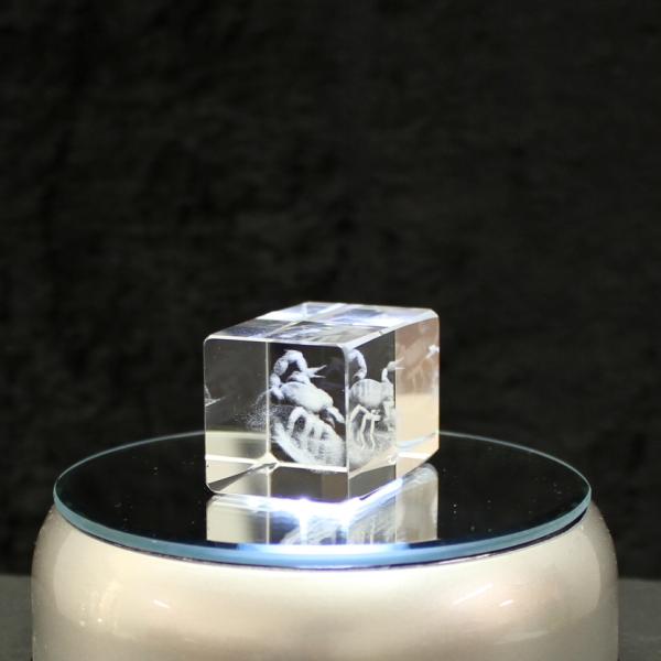 3D-Glas-Cube-Scorpion, versch. Größen