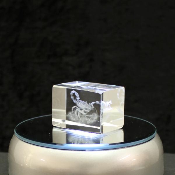 3D-Glas-Cube-Scorpion, versch. Größen