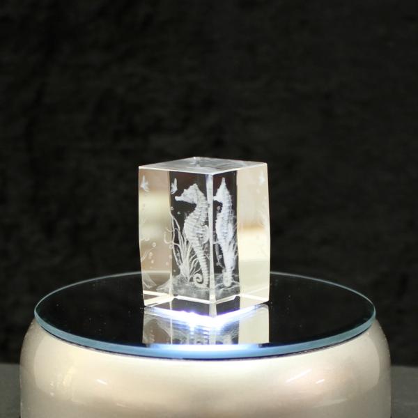 3D-Glas-Cube-Seepferdchen, versch. Größen