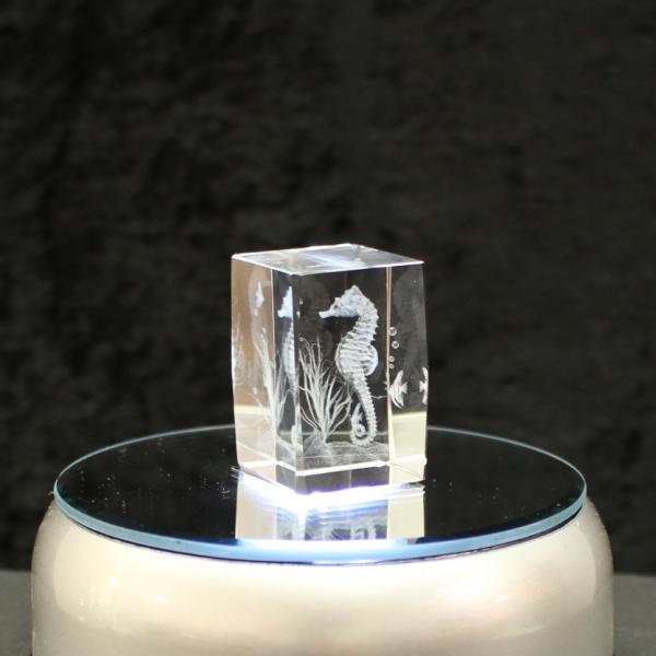 3D-Glas-Cube-Seepferdchen, versch. Größen