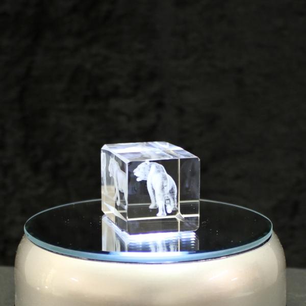 3D-Glas-Cube-Tiger, versch. Größen