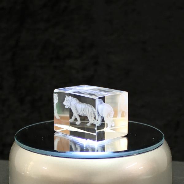 3D-Glas-Cube-Tiger, versch. Größen